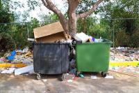 Trash Removal Wesley Chapel FL image 1